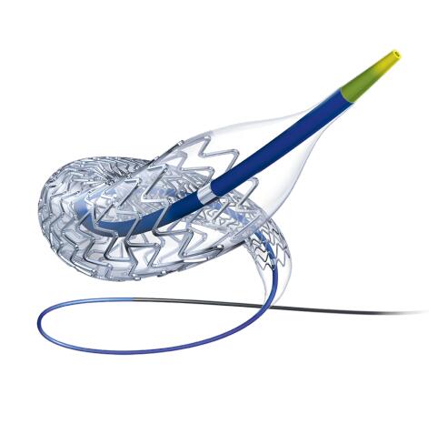 部分覆膜食管支架系统WallFlex Esophageal Partially Covered Stent System