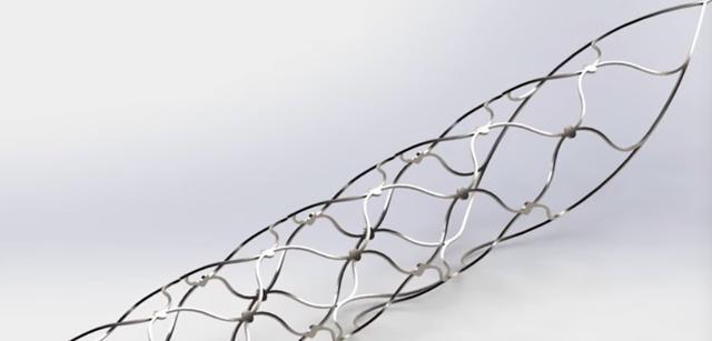 脑保护装置Cerebral Protection Device