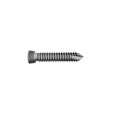 基台及螺钉Abutment&Screw